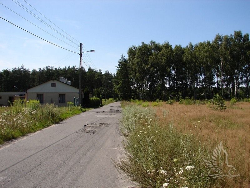 DSC00161