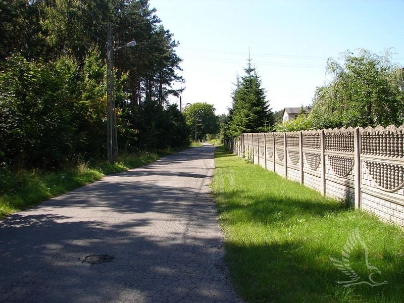 DSC00167