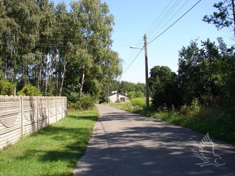 DSC00168