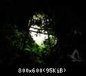 DSC00272