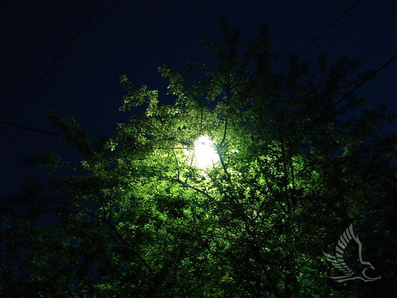 DSC00273