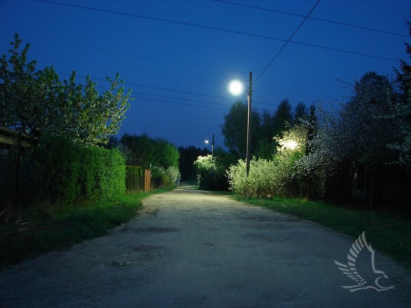 DSC00276