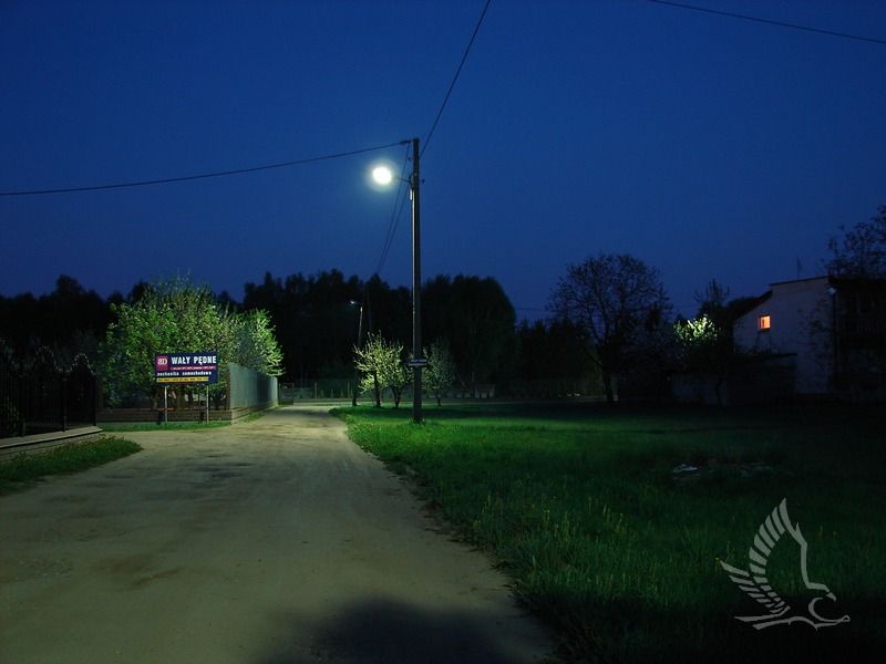 DSC00278