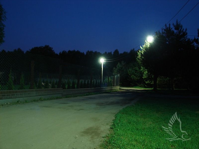 DSC00279
