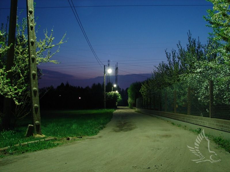 DSC00283
