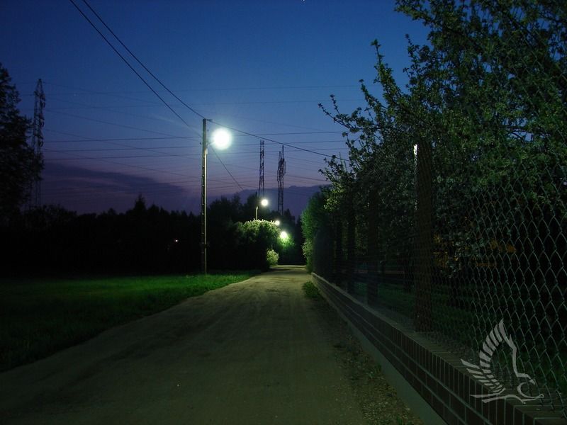 DSC00284