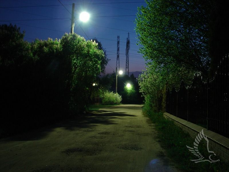 DSC00285