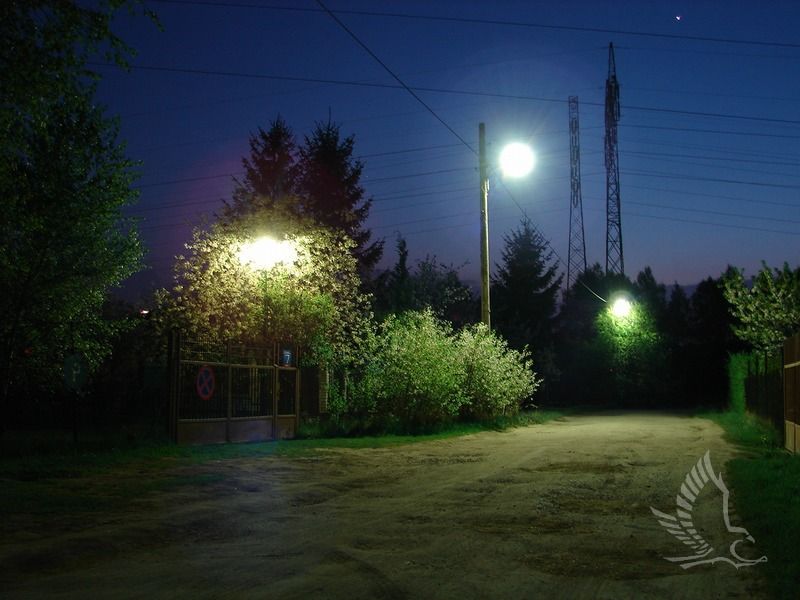 DSC00286