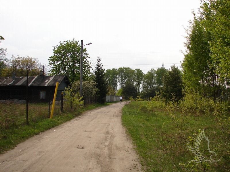DSC00331
