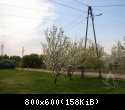 DSC00337