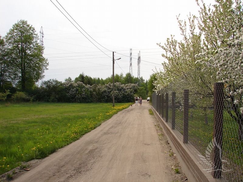 DSC00340