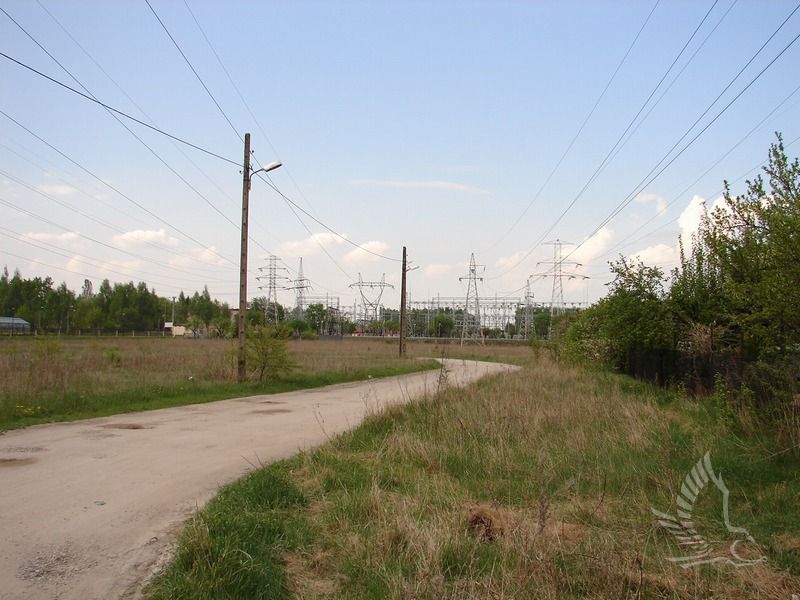 DSC00354