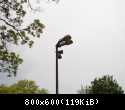 DSC00809