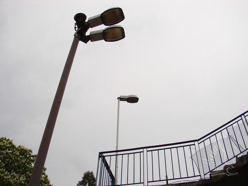 DSC00826