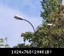 SGS203