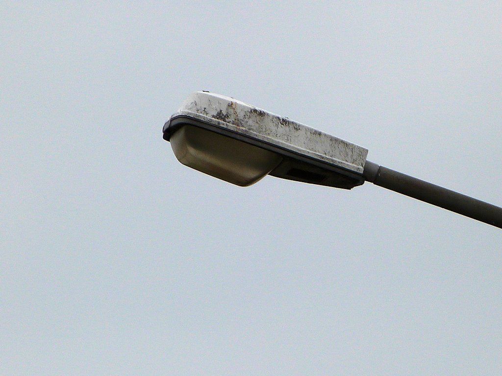 SGS203