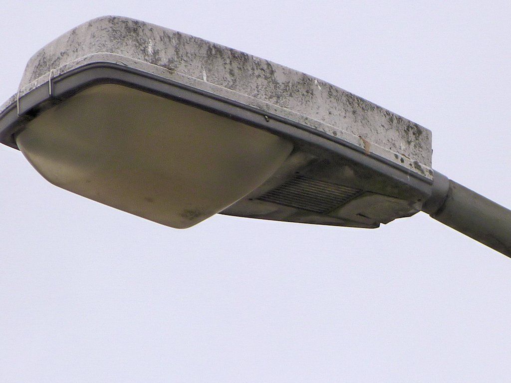 SGS203