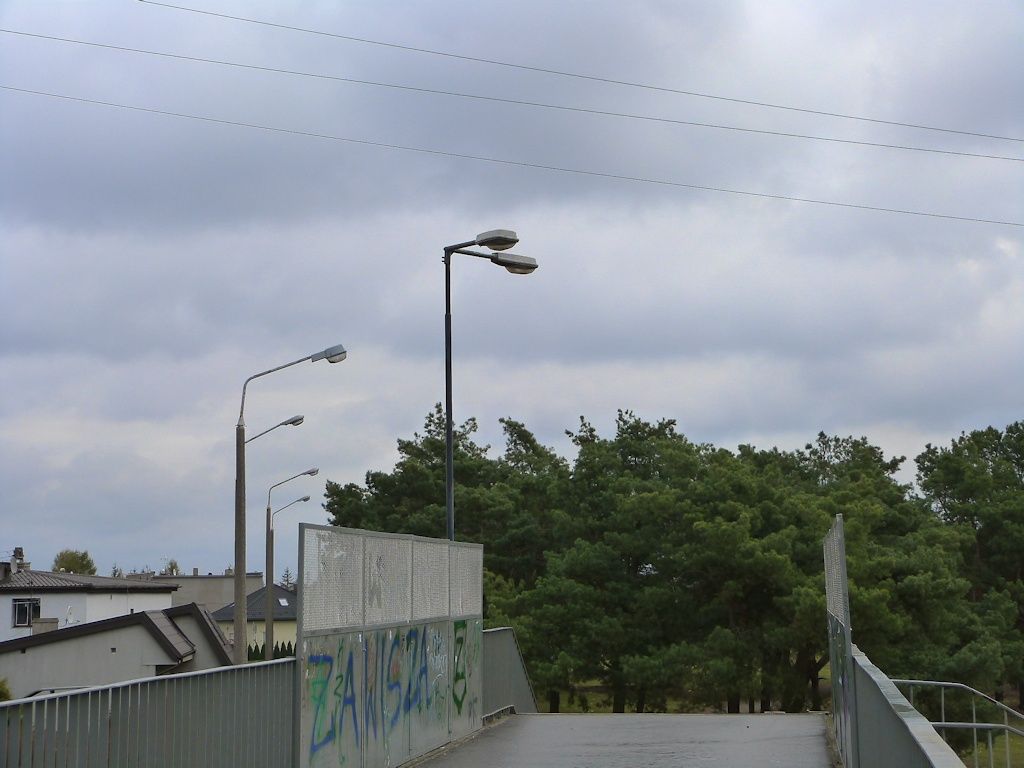SGS203