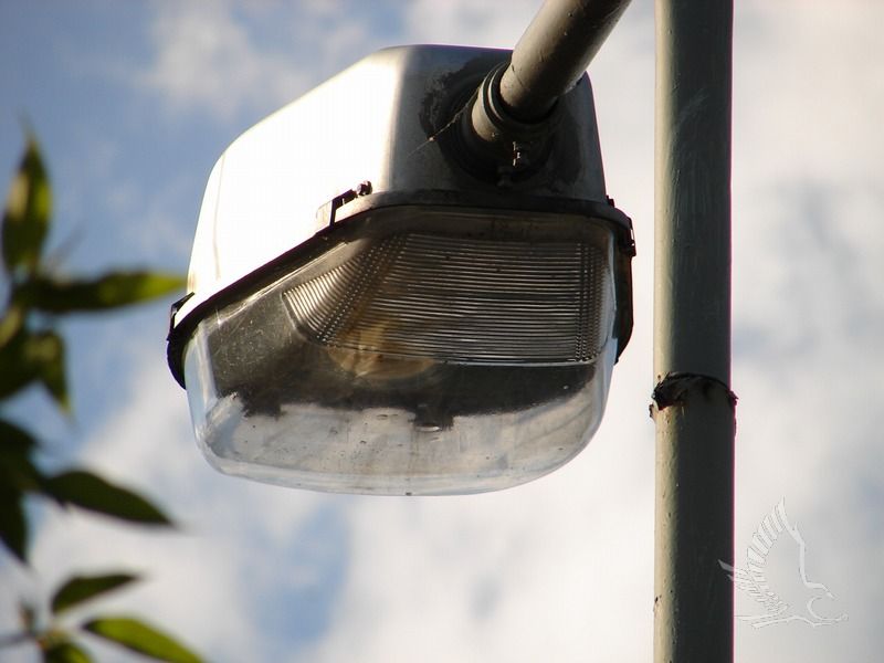 DSC01223