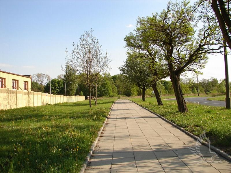 DSC01233