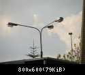 DSC01241