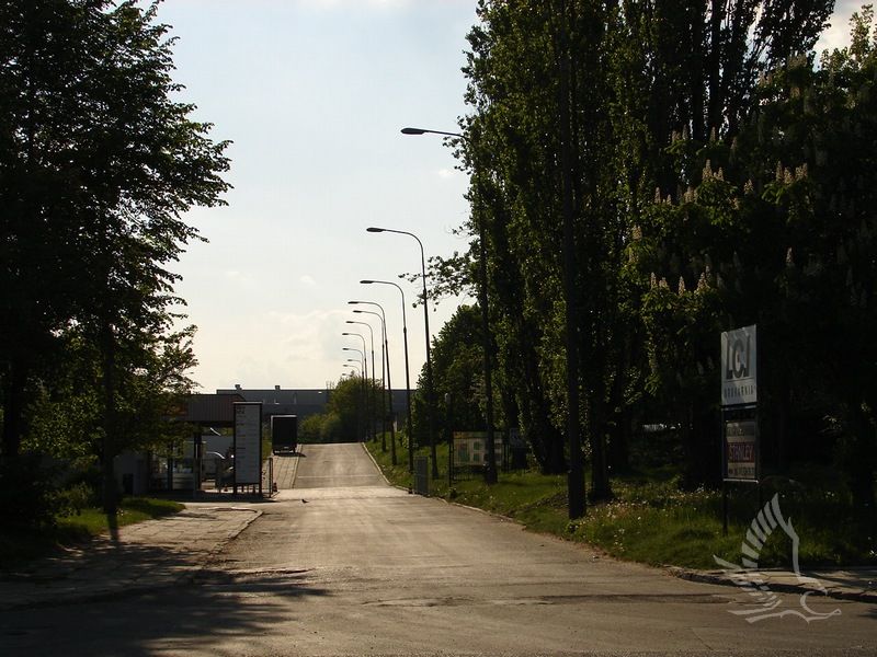 DSC01244