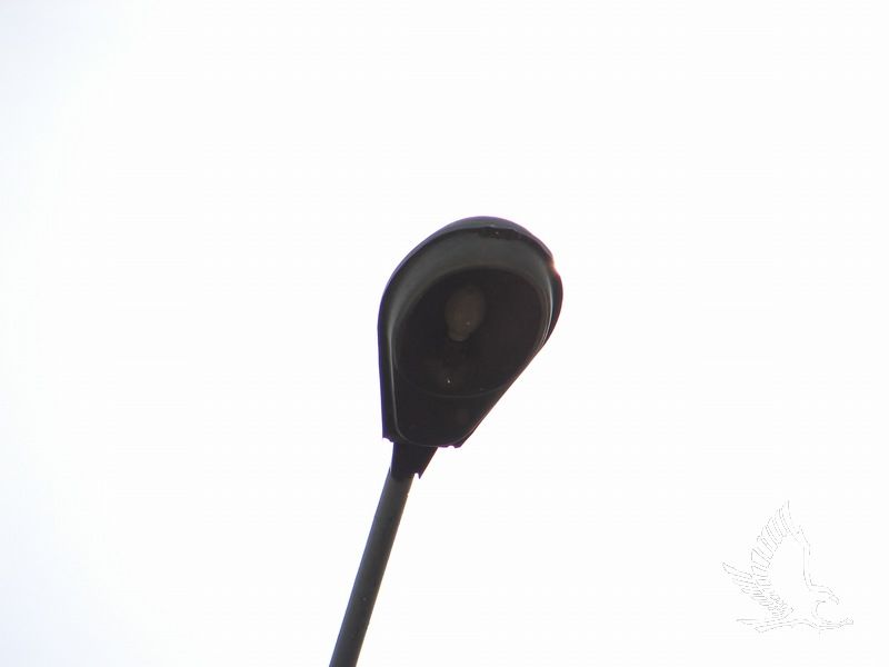 DSC01245