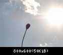 DSC01246