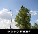 DSC01247