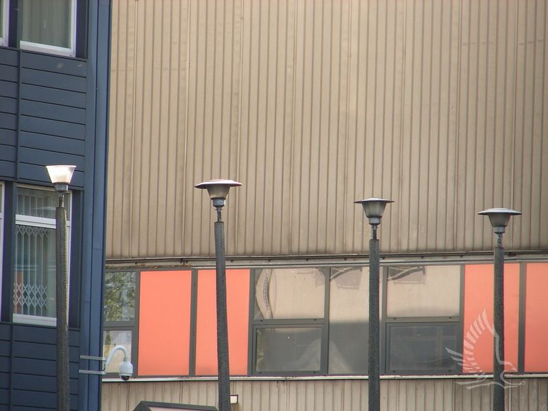 DSC01250