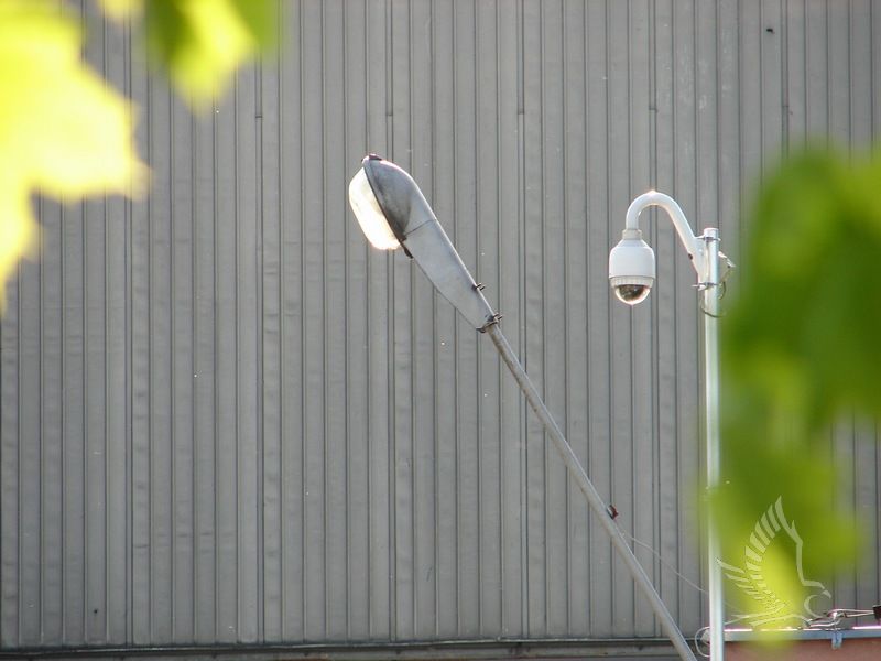 DSC01254