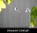 DSC01254