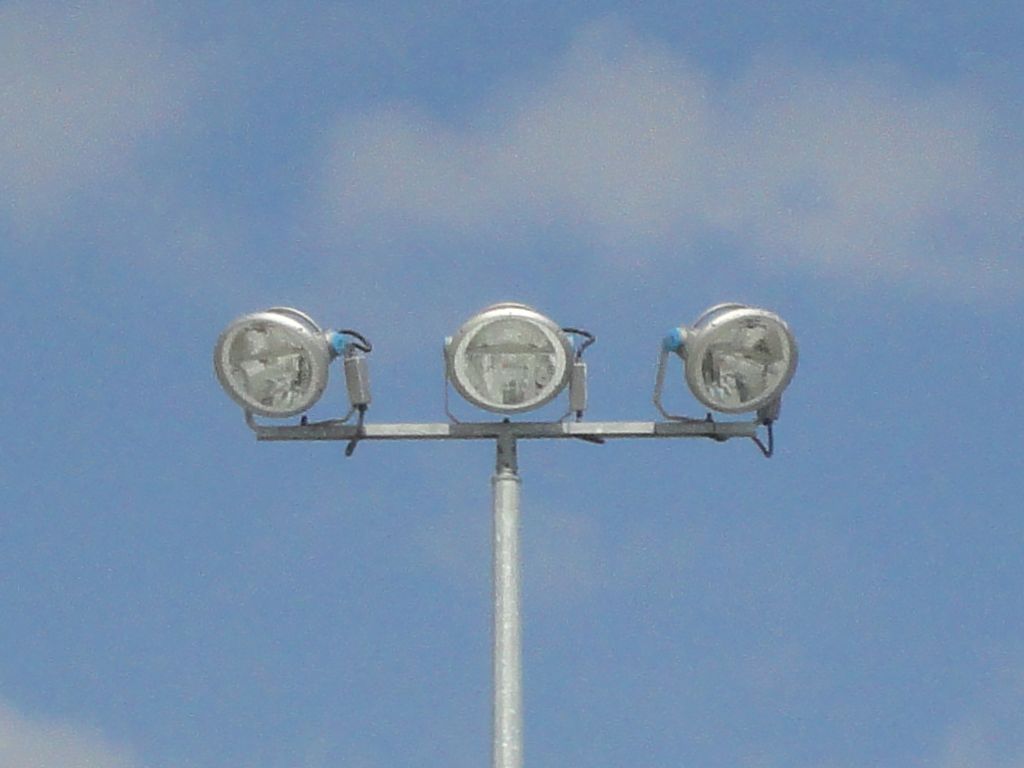 kwiaty 126