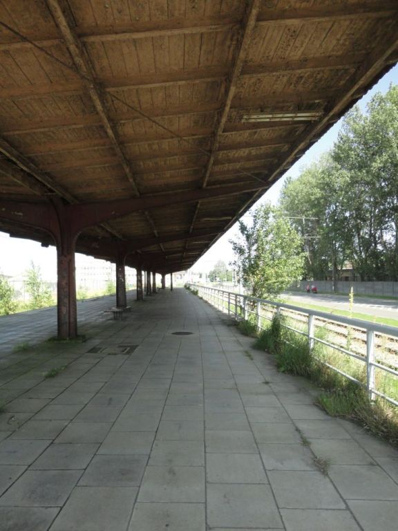 dewastacje 15