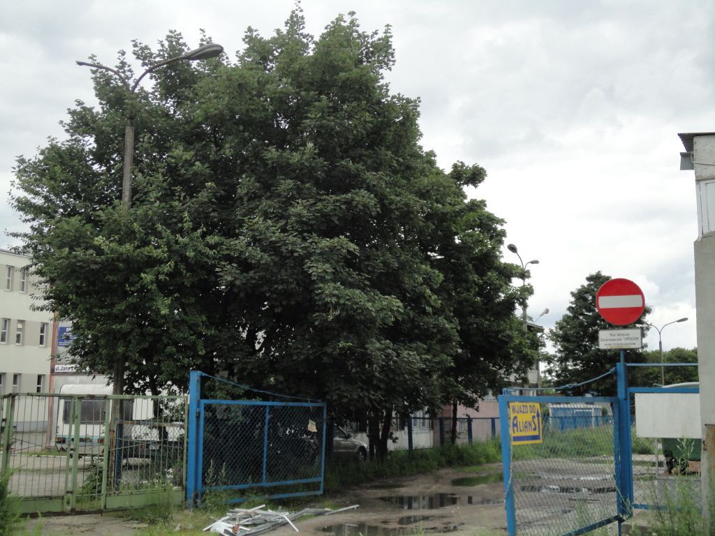łyżki 47