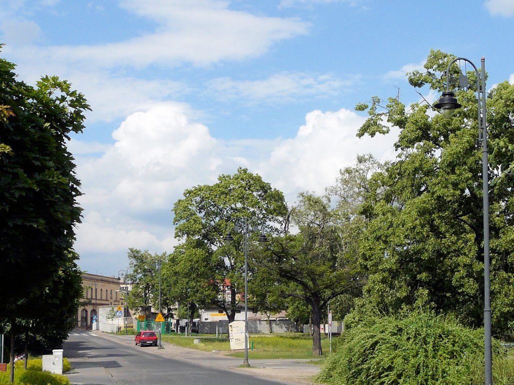 Albany