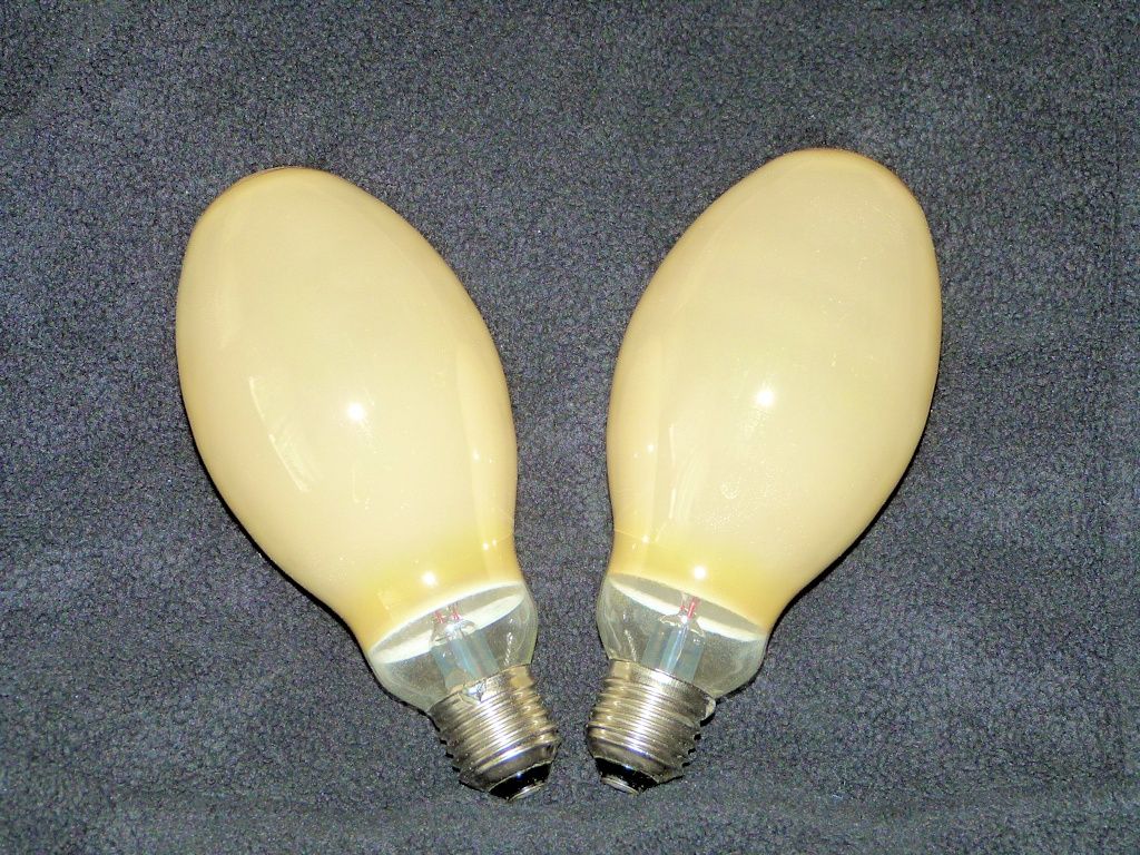 lampy