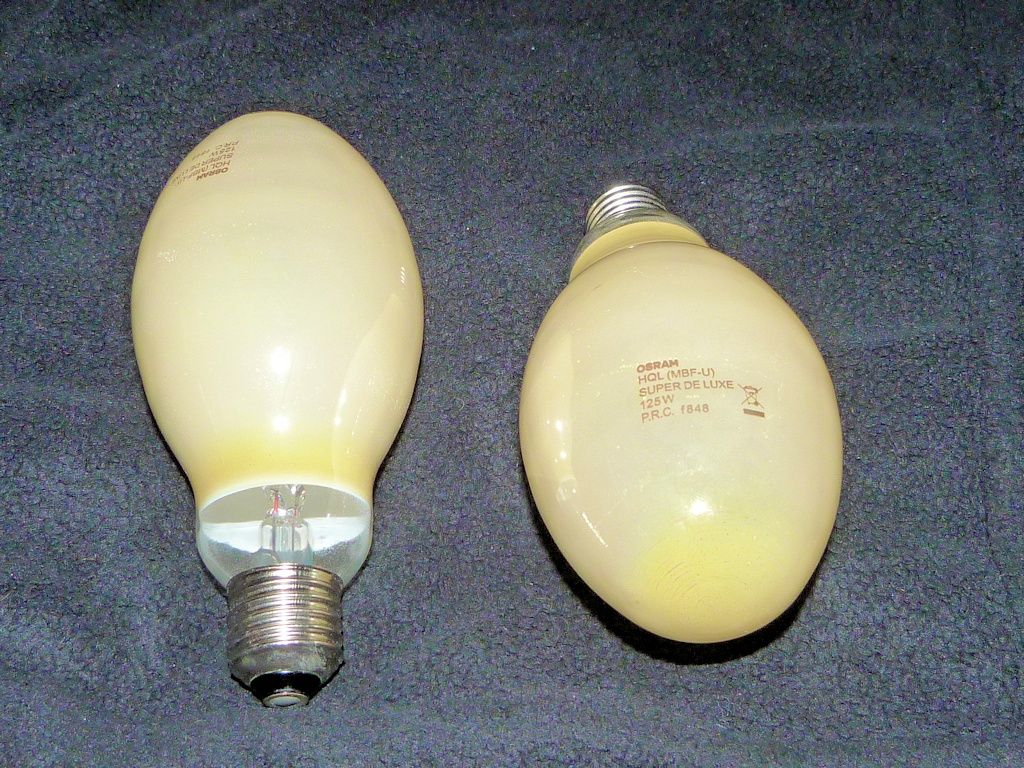 lampy