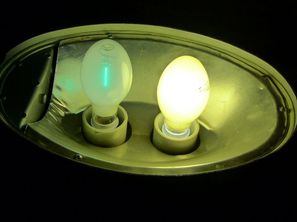 lampy