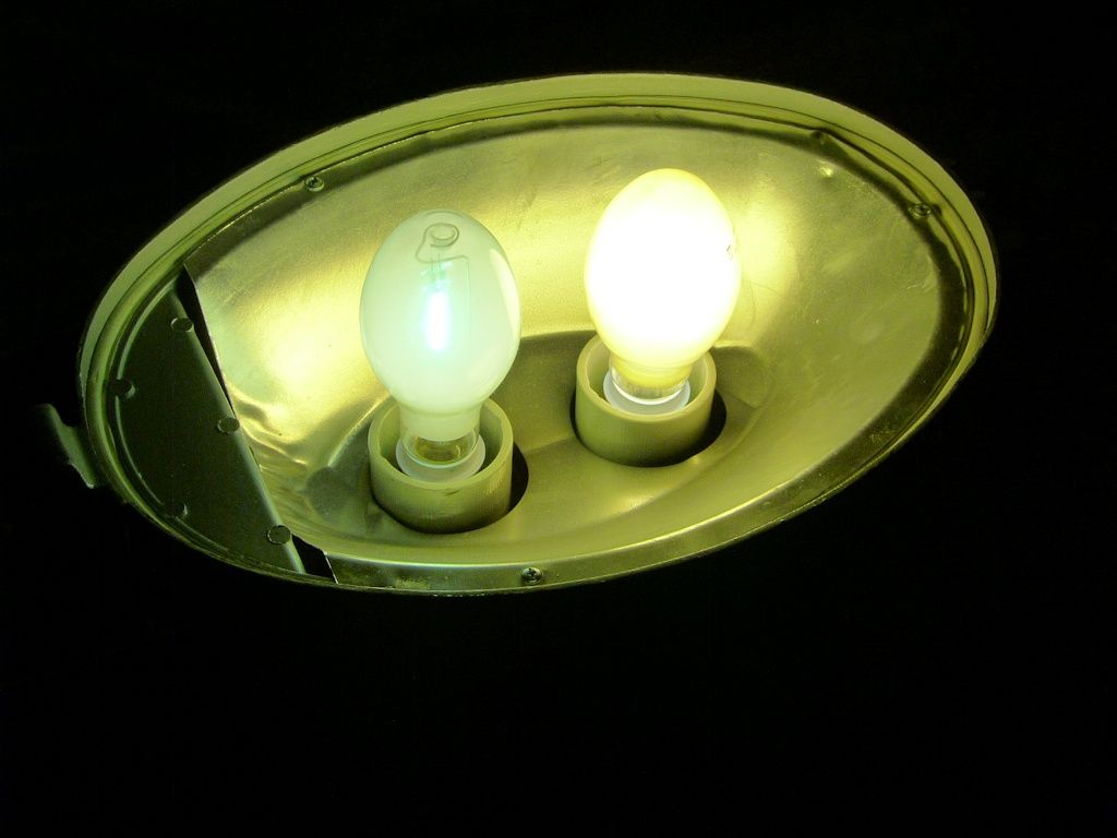 lampy
