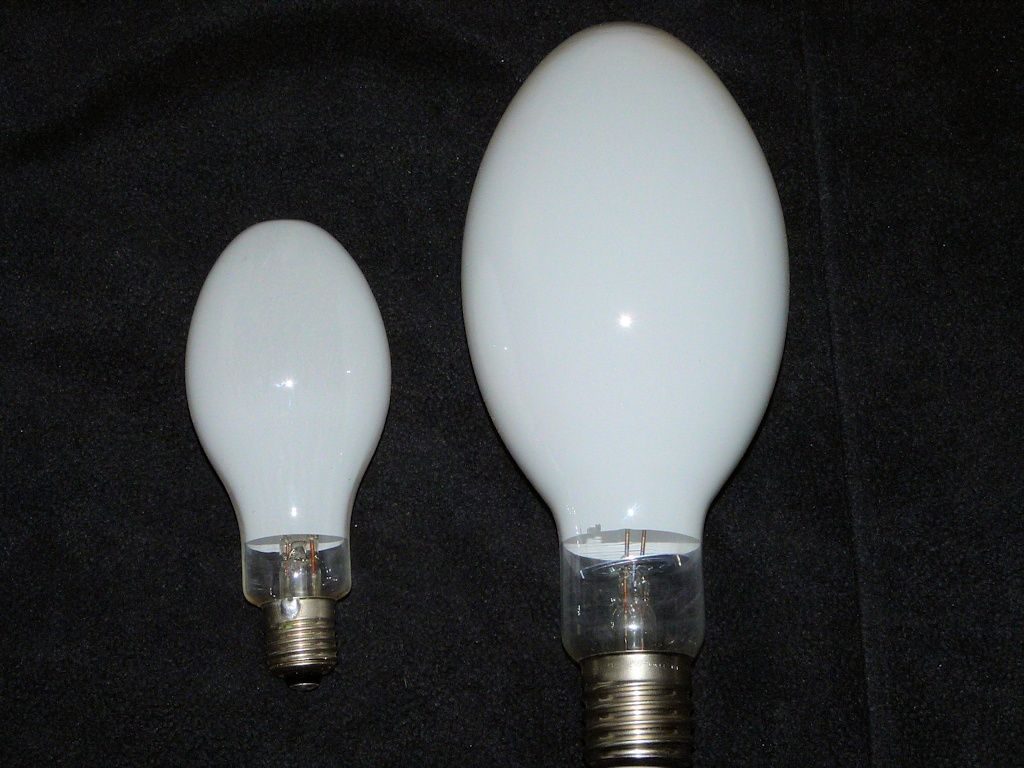 lampy