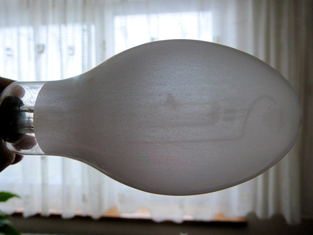 lampy