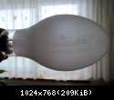 lampy