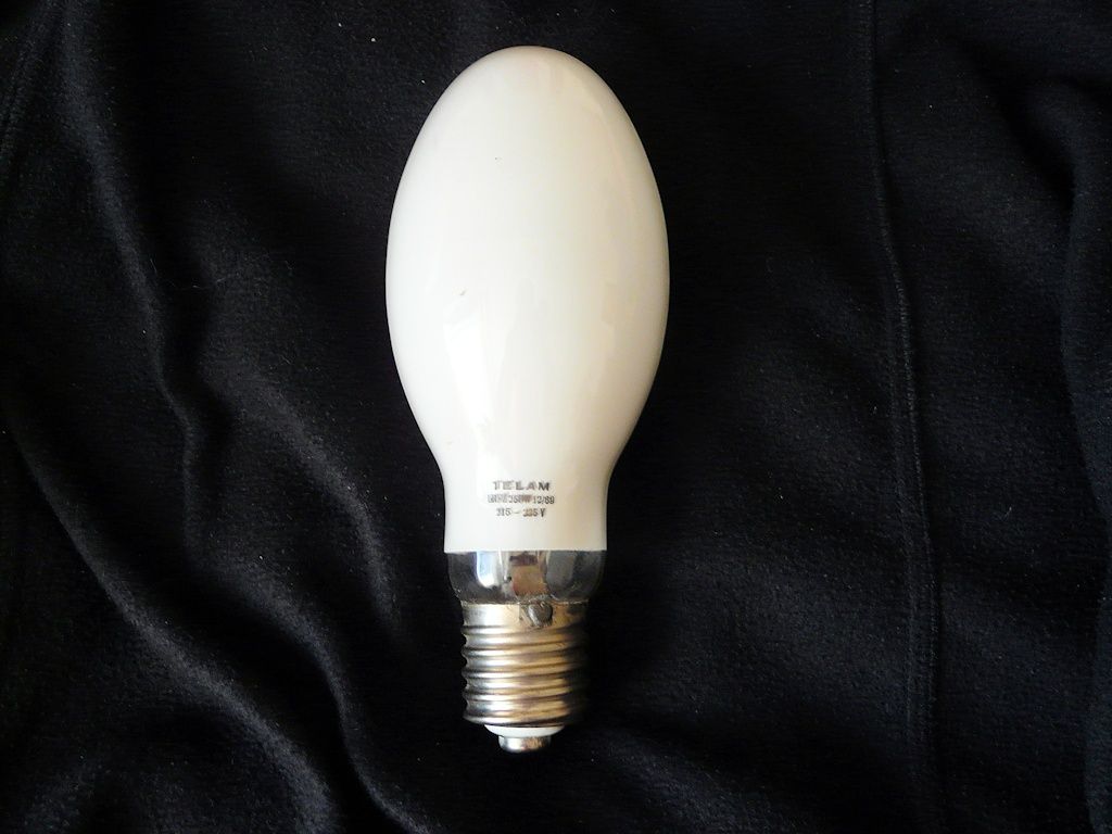 lampy