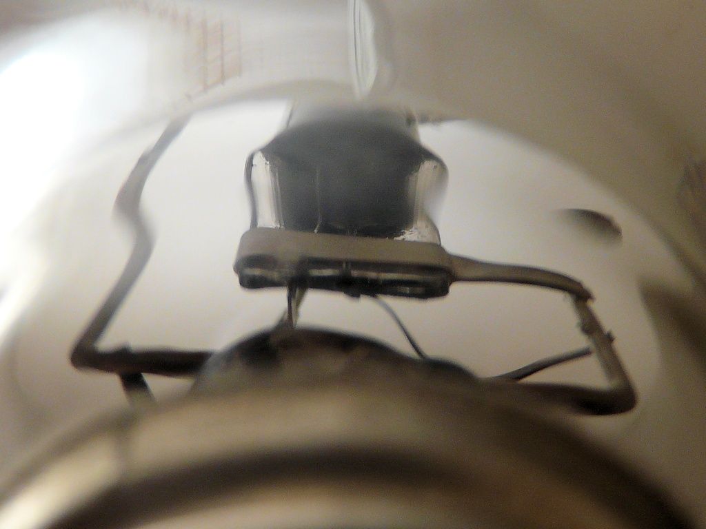 lampy