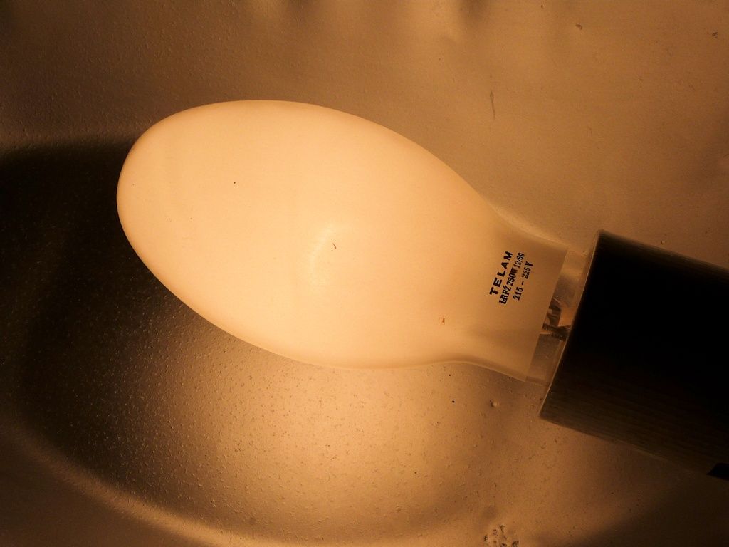 lampy