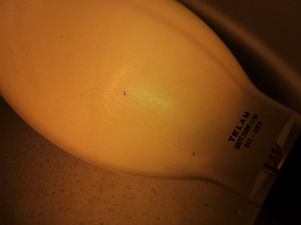 lampy