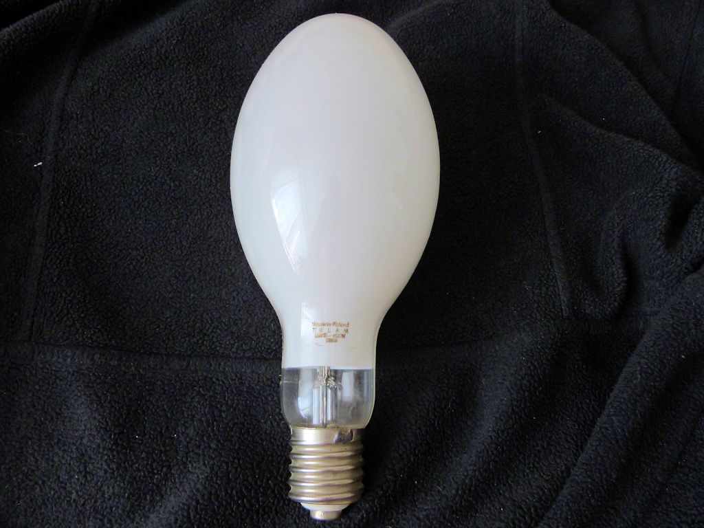 lampy