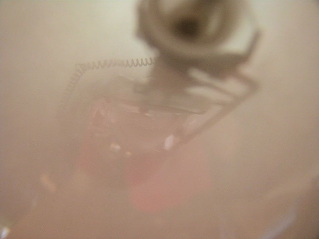 lampy