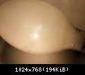 lampy